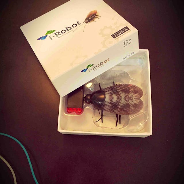 I-robot Beetle